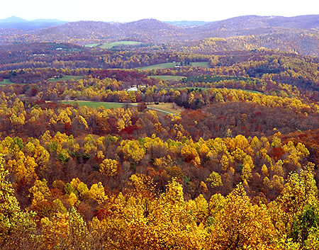 Golden Fall Vista, Blue Ridge Parkway, VA